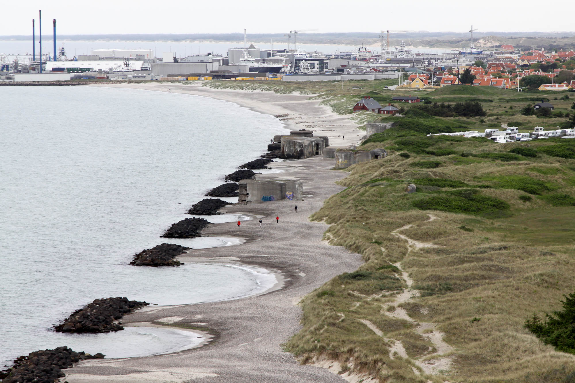 Bordkatze und Seehunde