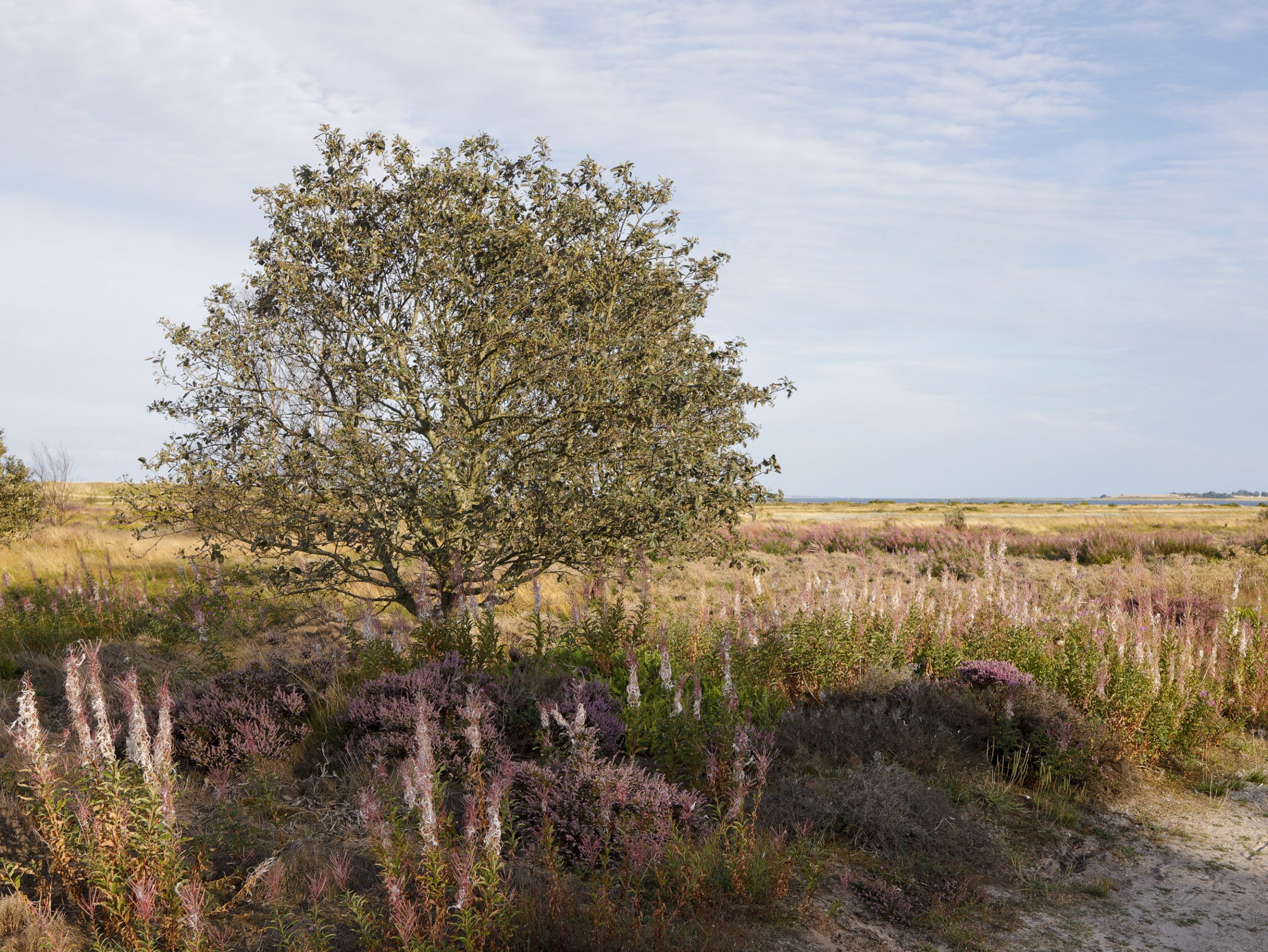 Mit Südwind um die Nordspitze