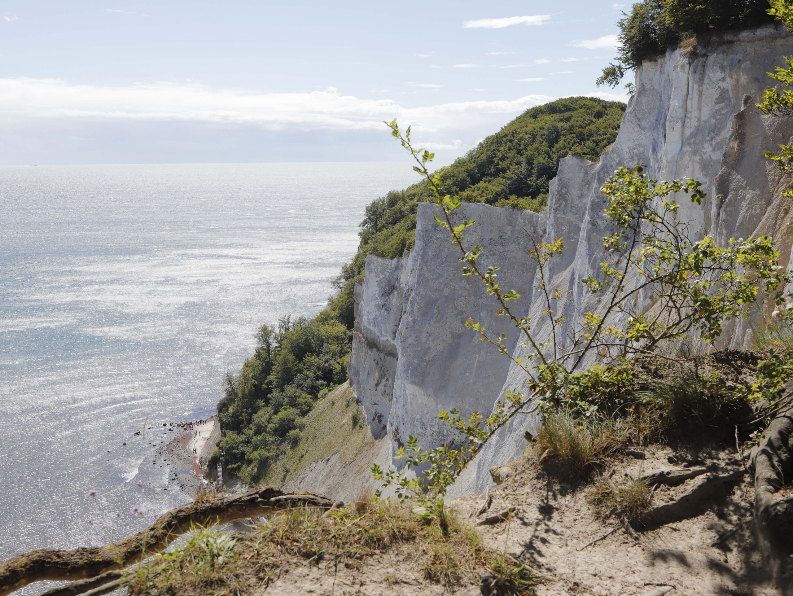 Steilküste und steife Brise