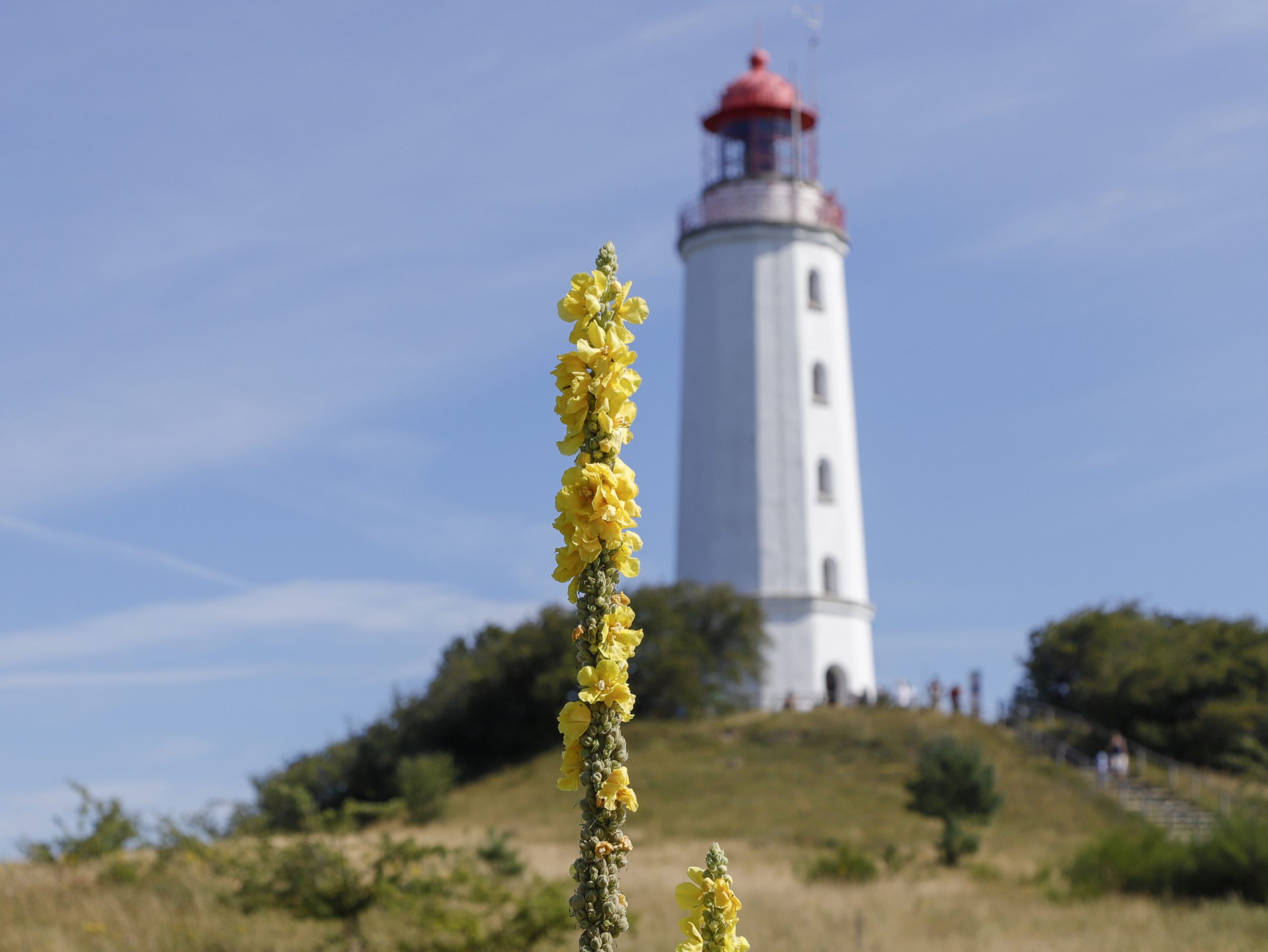 Von Sonnenaufgang bis Sonnenuntergang