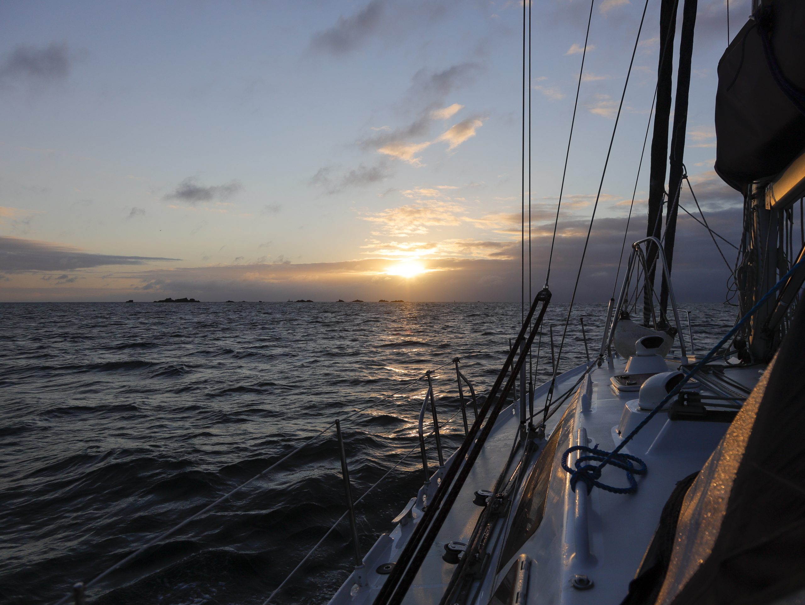 Basstölpel, Delfine und Kanalinseln in der Ferne…