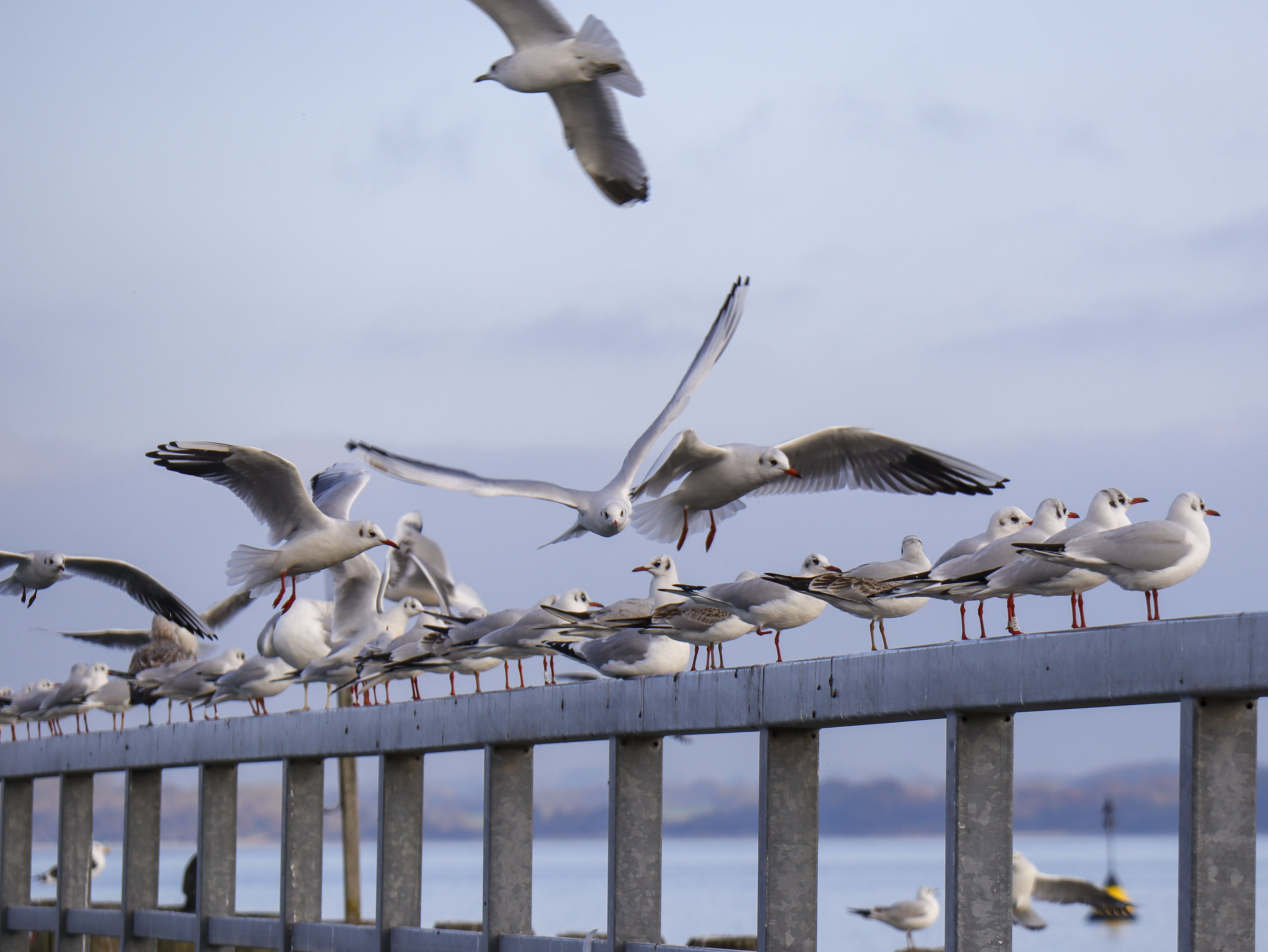 Nebelreise zum Saisonende