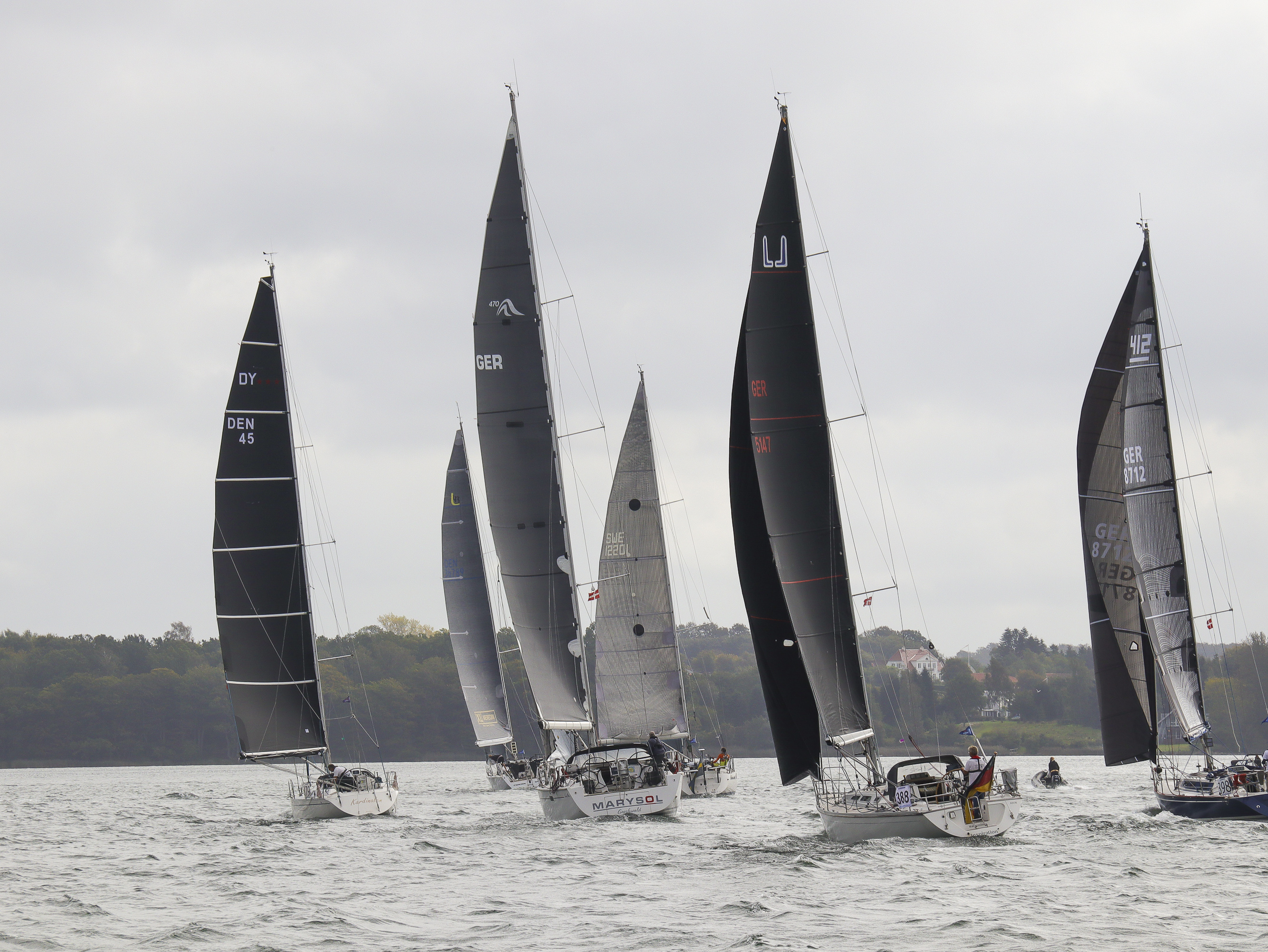 Zum Start der Silverrudder Regatta